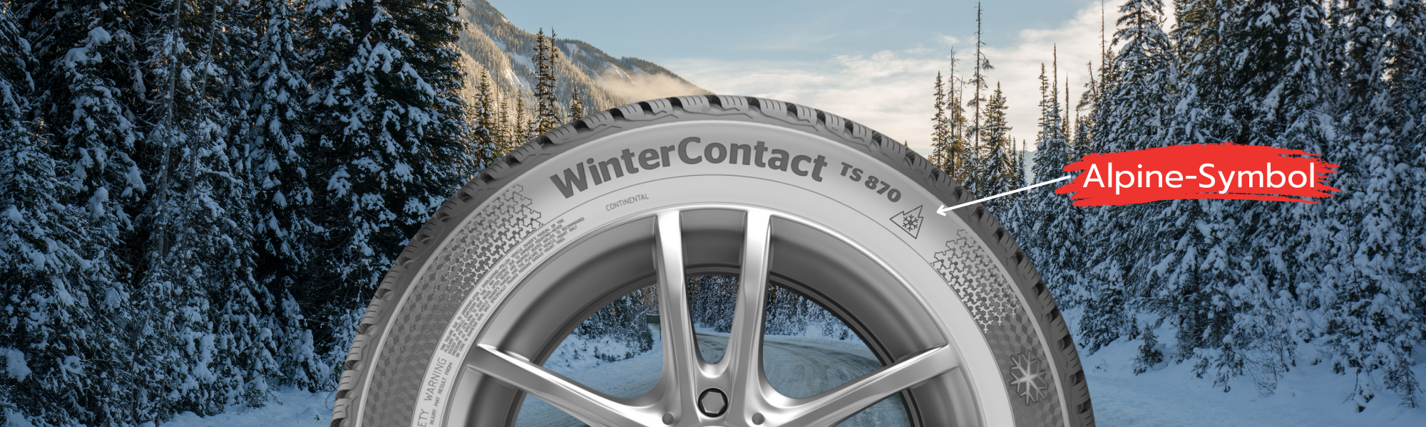 Winterreifen mit Alpine-Symbol