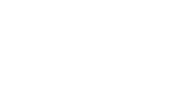 Cheetah Wheels