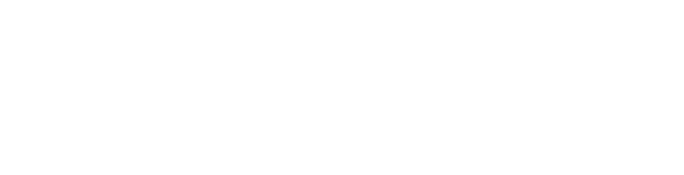 TecSpeedwheels