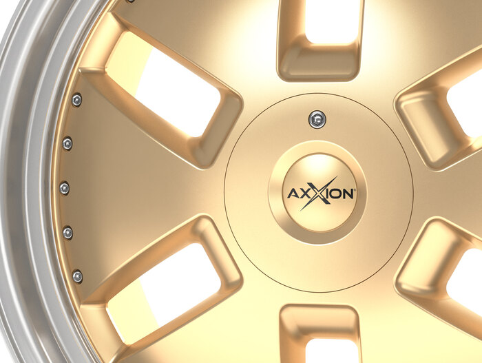 AXXION Y1 GG+-ML+